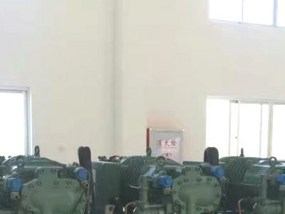 比澤爾螺桿雙級配打機組