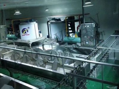 新疆和田禽類屠宰片冰機