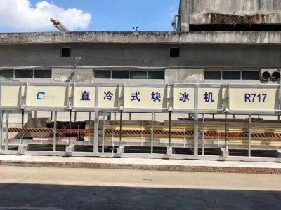漳州氨用40T直冷式塊冰機(jī)